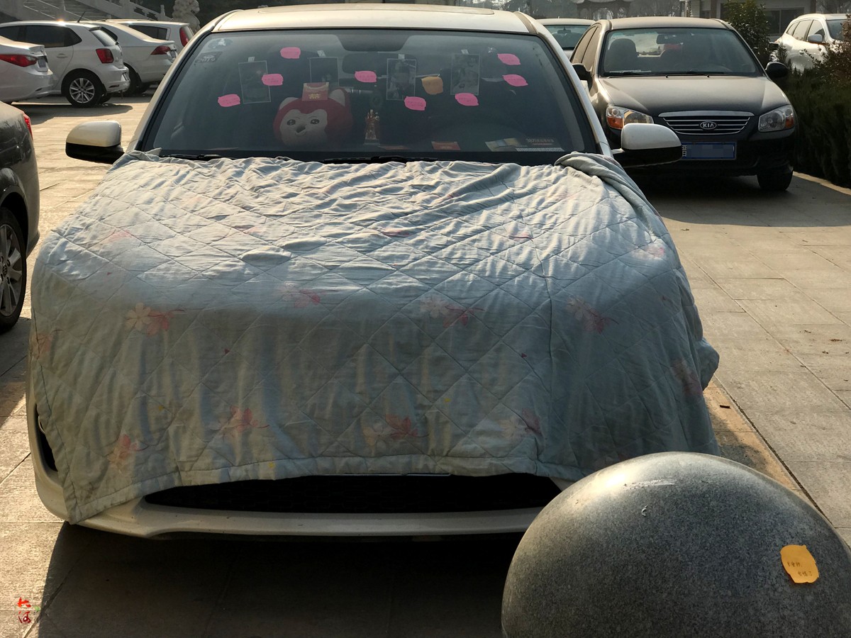 为挽回女友心,小伙路边贴满道歉信,睡车里苦等