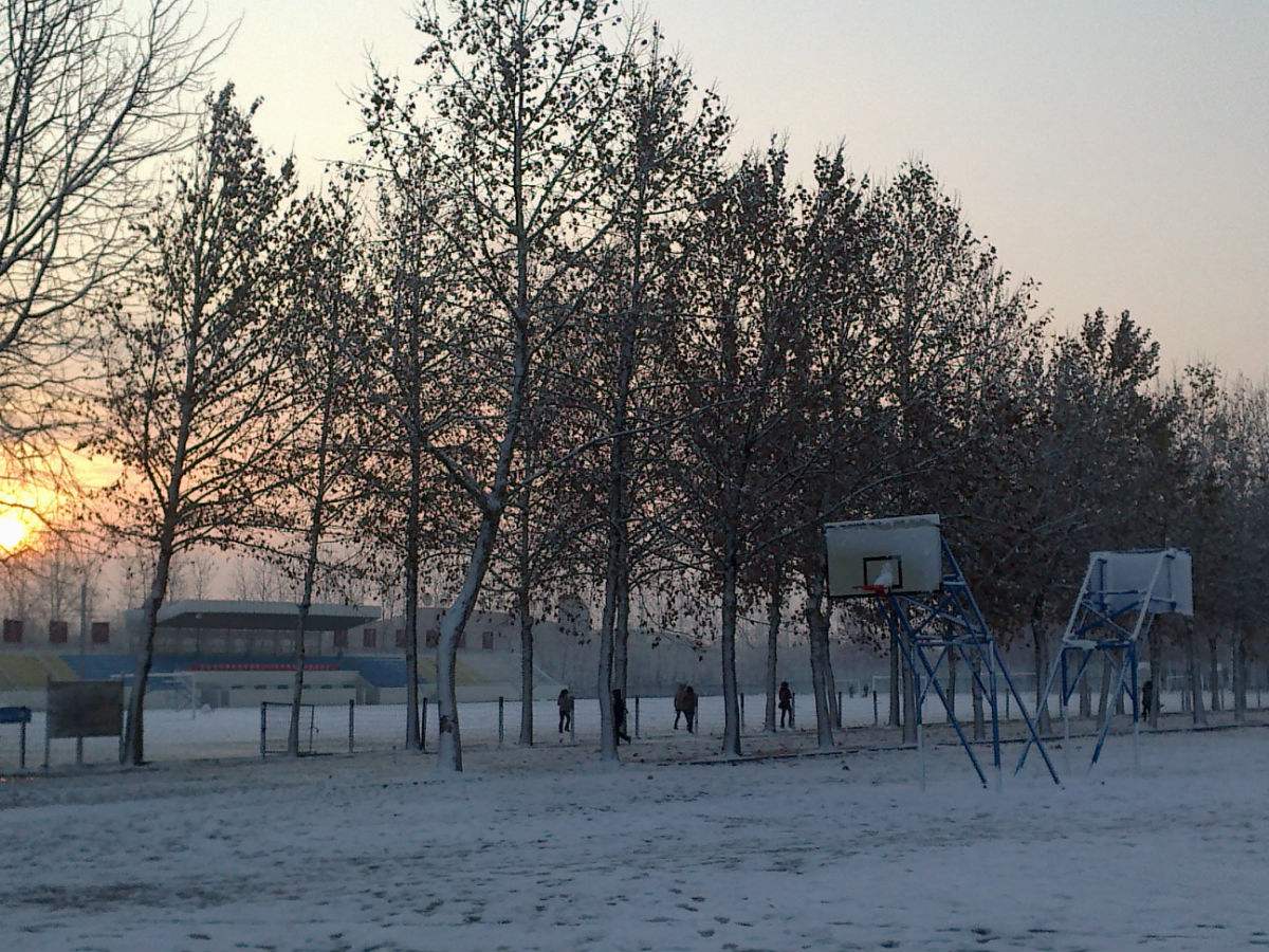 老丝瓜治鼻炎,治一个好一个,没想到用了5天就