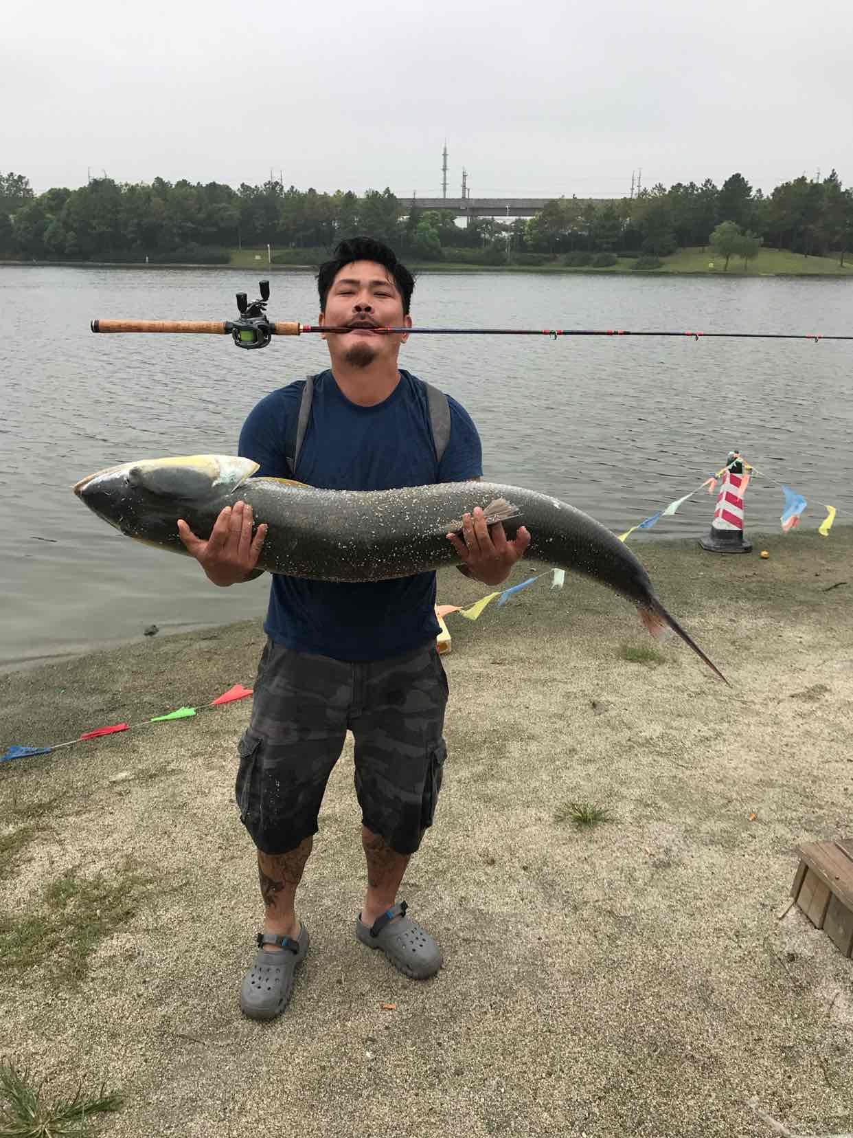 上海宝山区公园湖,市民钓起四十斤黄箭鱼,欲放生却遭管理员制止|黄箭|