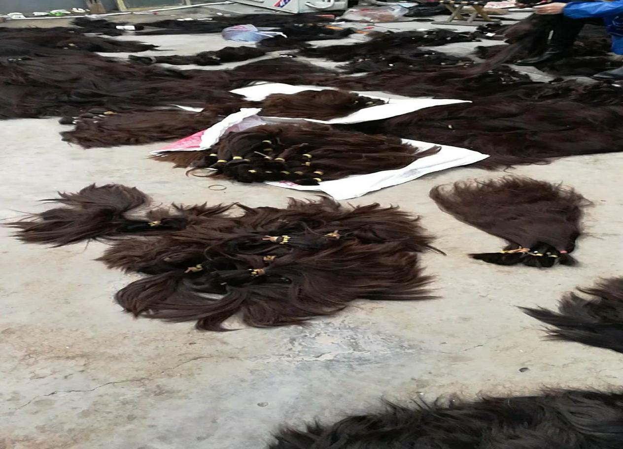 阜阳市庙岔镇:人发生意年销售额1200万以上