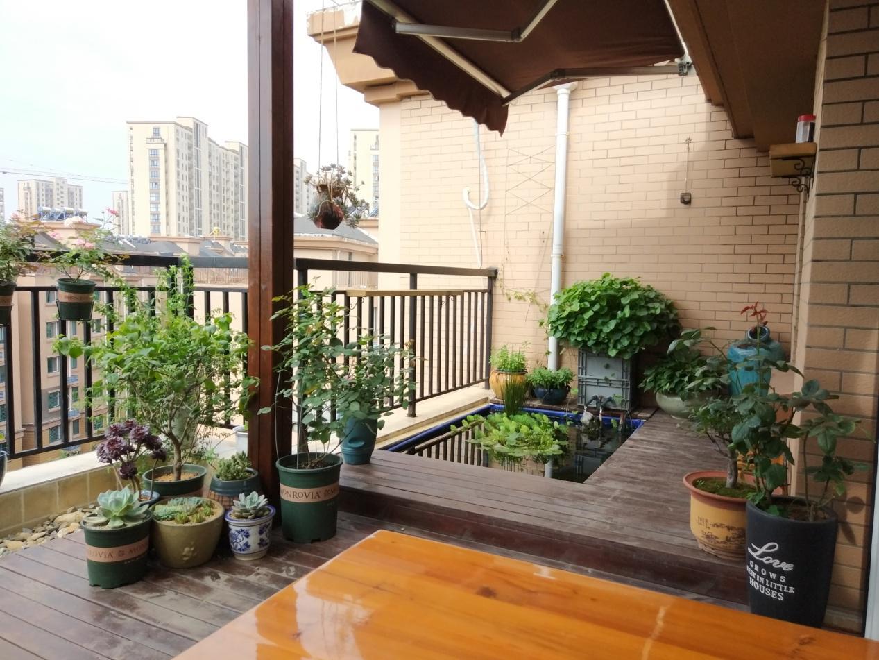 园丁素野, 如何一步步把楼顶露台建成空中园林, 完成花园梦~