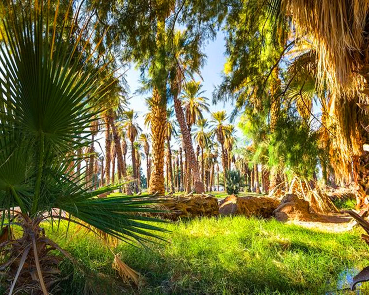 2018年2月6日 吉利的属相有哪些?