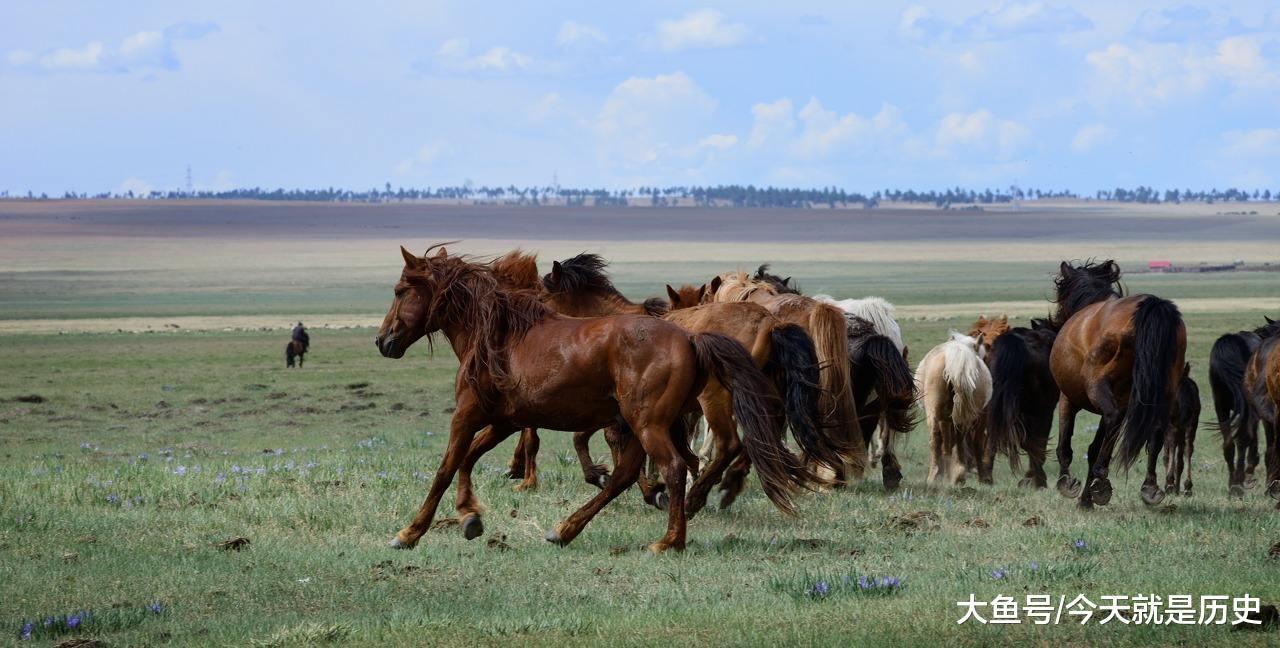 内陆国命运悲催, 外蒙羡慕内蒙生活