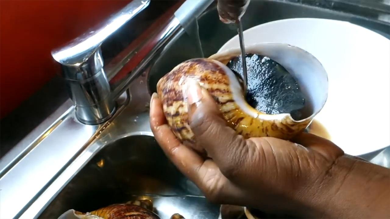 中国吃货都绝种,非洲人把多吨吃到服气,一年吃掉一千蜗牛!海里边有鳄鱼图片
