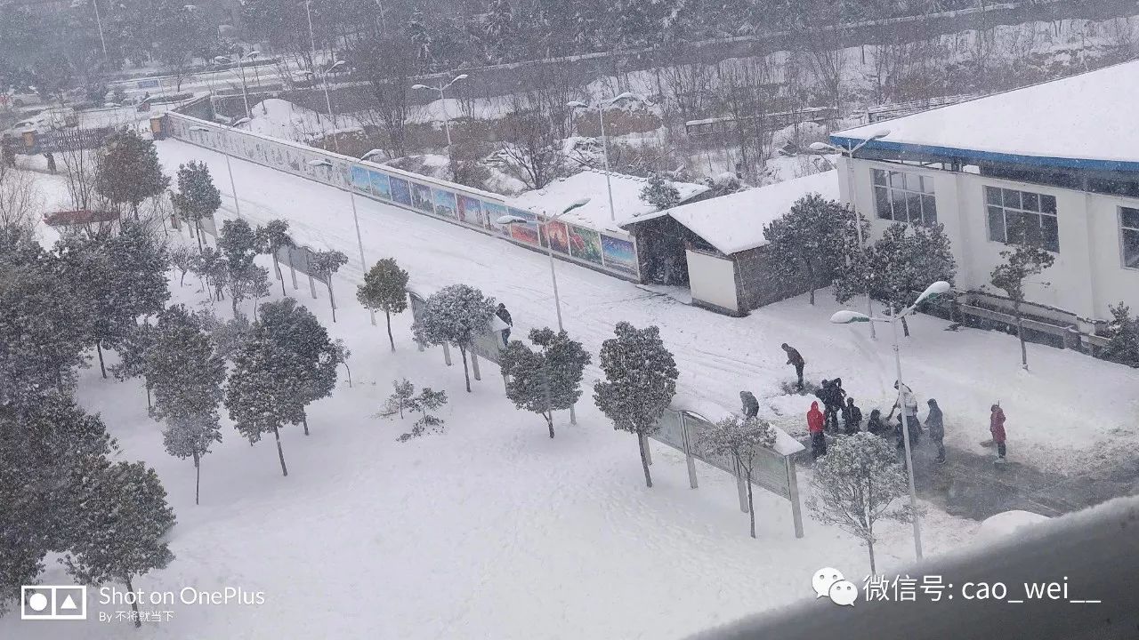 鲁山实验学校:共扫门前雪 方便你我他