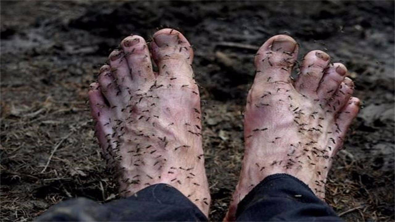 世界最赚钱的工作,疯狂挖尸人,年薪1000万,你敢