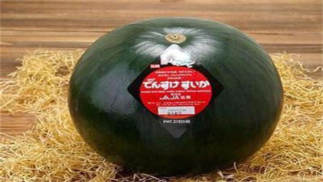 日本要哭了，研发的4万一个的黑西瓜，到中国被贱卖3元一斤