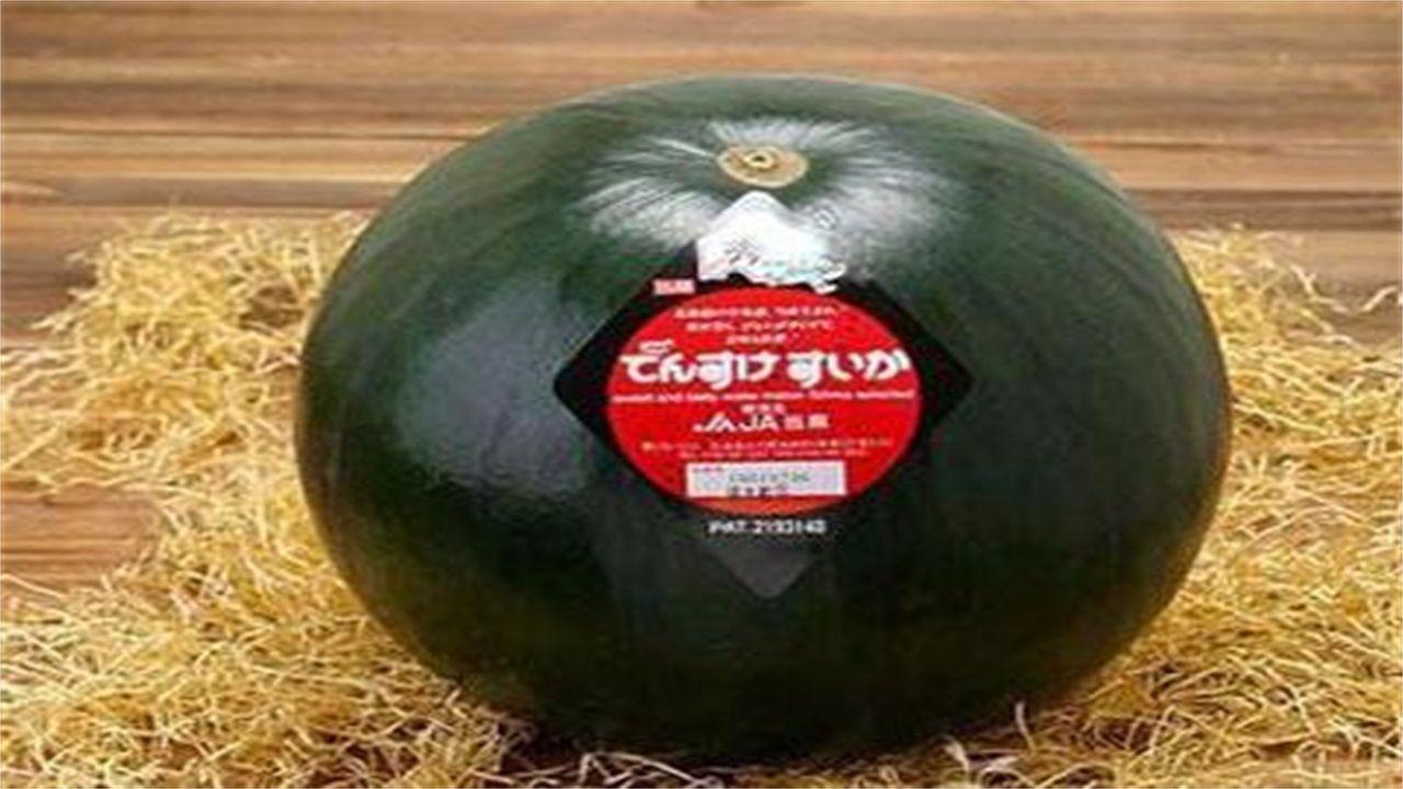 日本要哭了, 研发的4万一个的黑西瓜, 到中国被