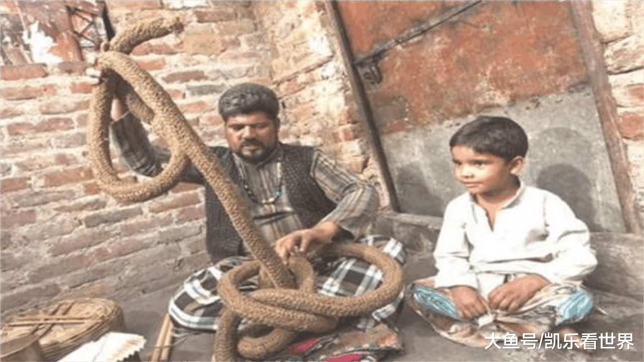 印度第一神奇“通天绳”, 一根绳子能上天, 无人能解释其中秘密!