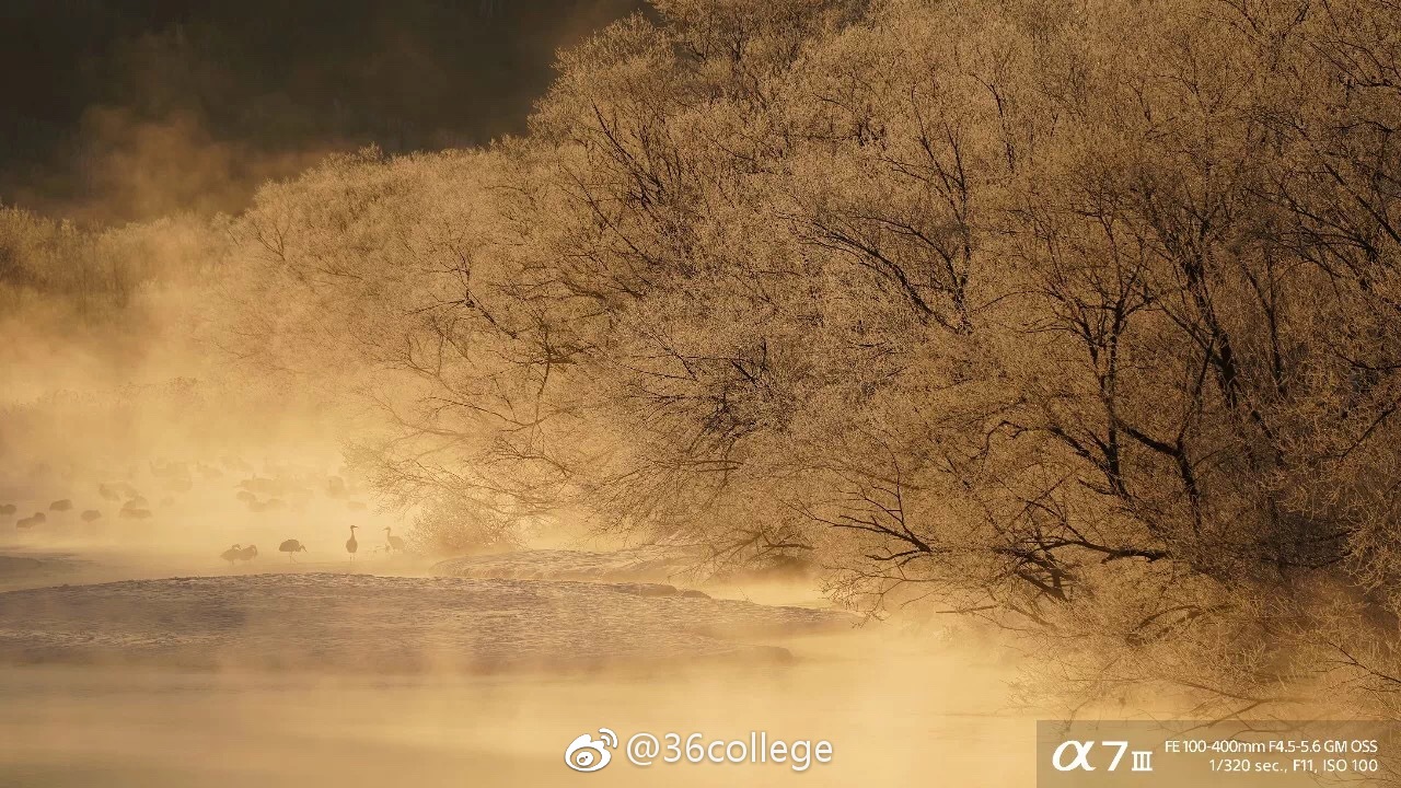 索尼新款全画幅微单A7III3样片欣赏