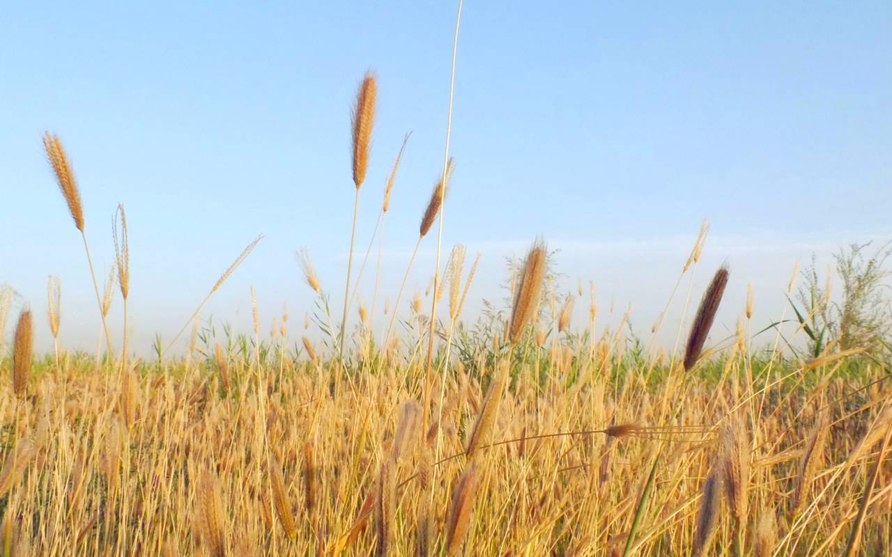 一位老教师对教师职业的真实看法!准教师必看