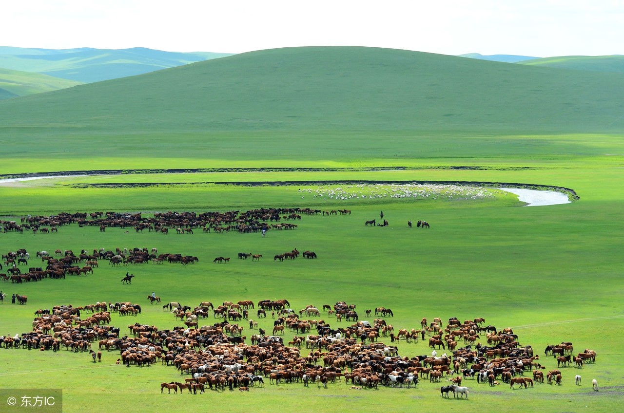 中国最大的市,面积是山东与江苏面积之和,人口