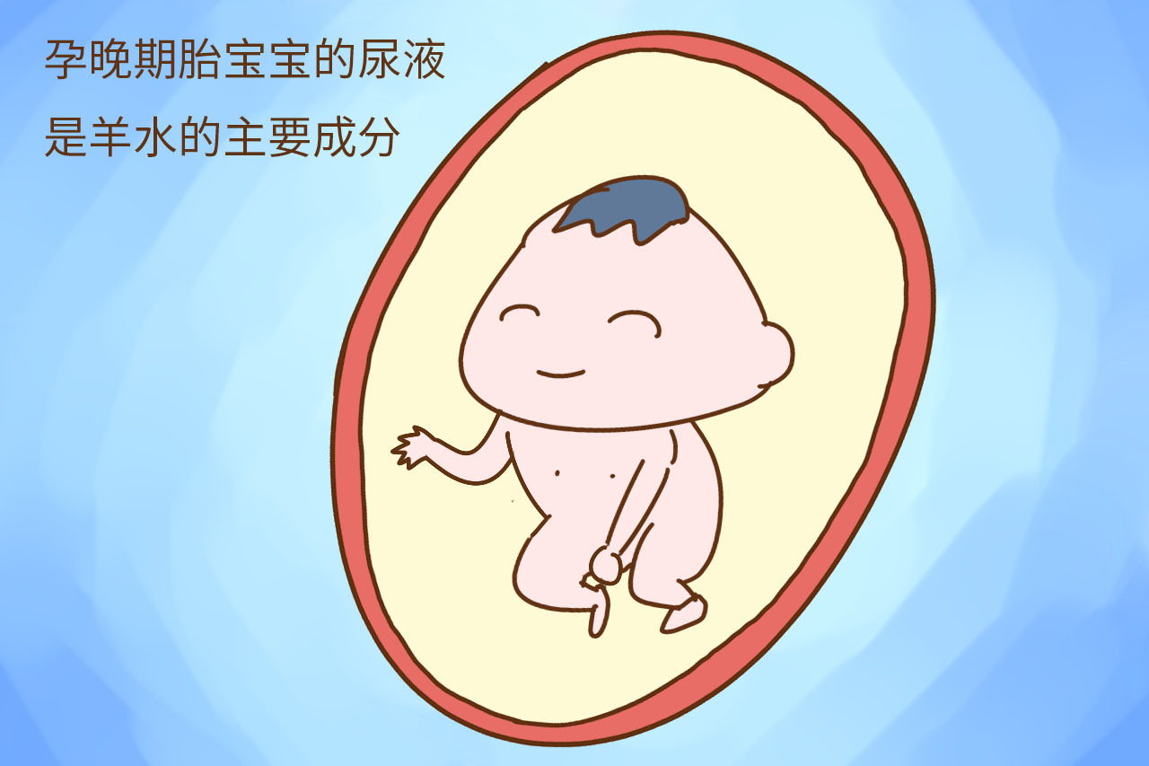胎儿在肚子里只会睡觉？你是不知道，他过得有多惬意|脐带|胎儿|羊水_新浪育儿_新浪网