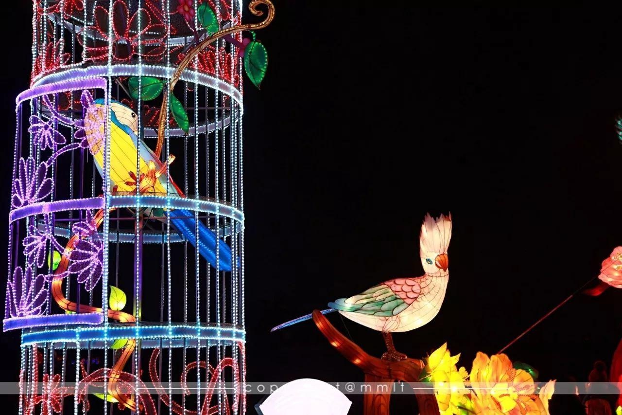 西安年·最中国 | 2018西安城墙新春灯会