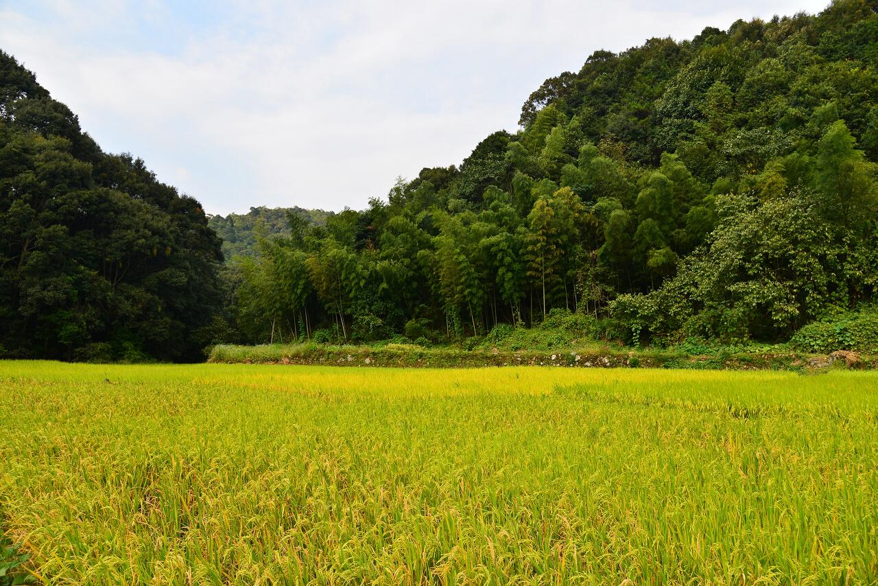 翻阅阳光, 就是翻阅生命
