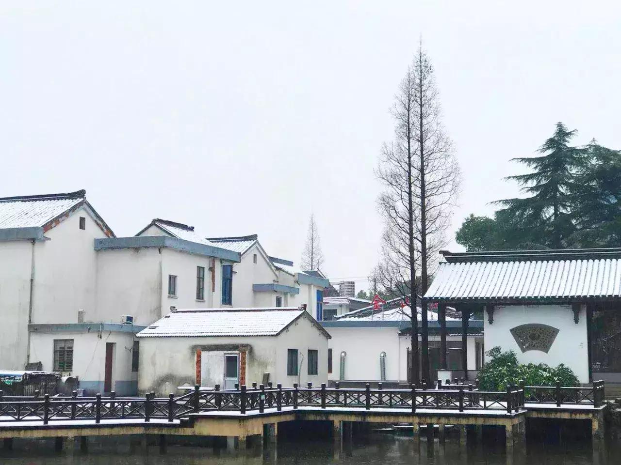 江苏最美乡村山联村迎来新年第一场雪变成了另外一种美景