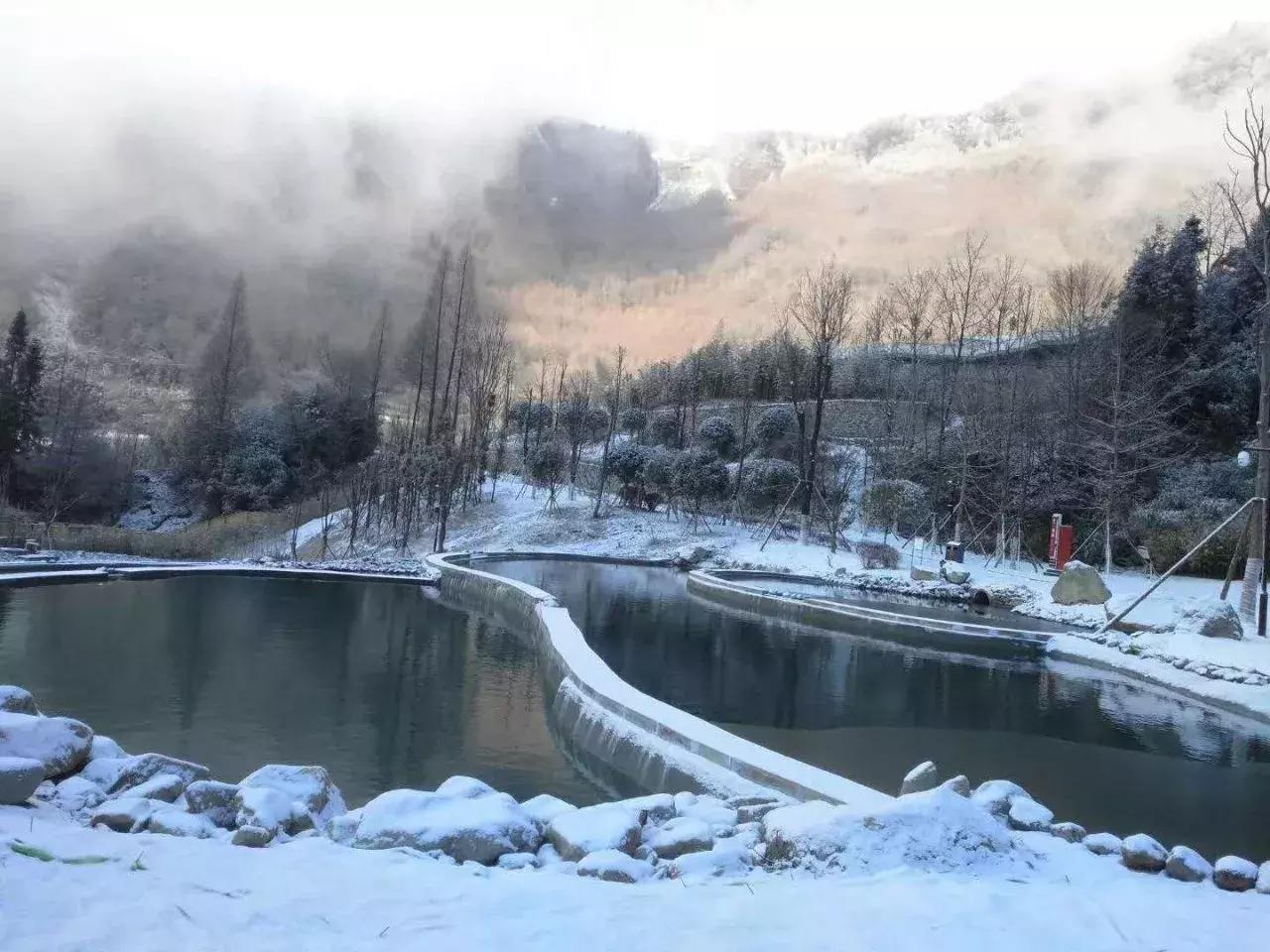 大片来袭! 首届中国大熊猫保护研究摄影大赛落
