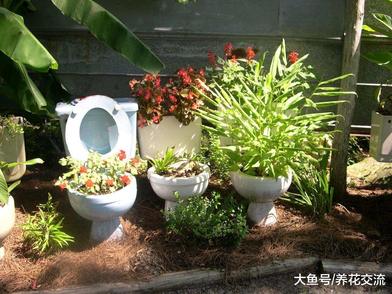 7个养花的极佳创意, 把家里的废旧物品都用上了