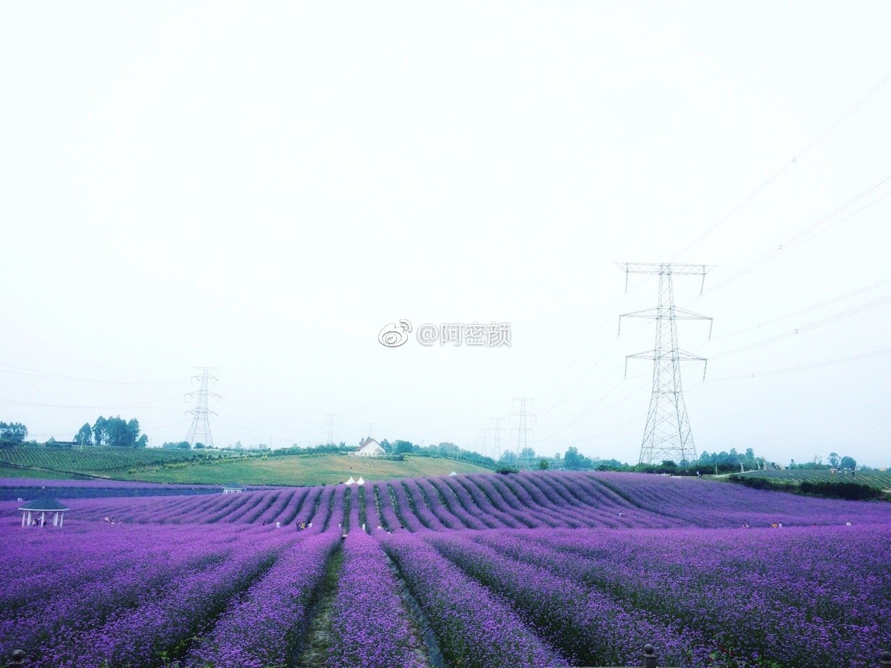 回首来时路,又是一年过去了。想想这一年得到