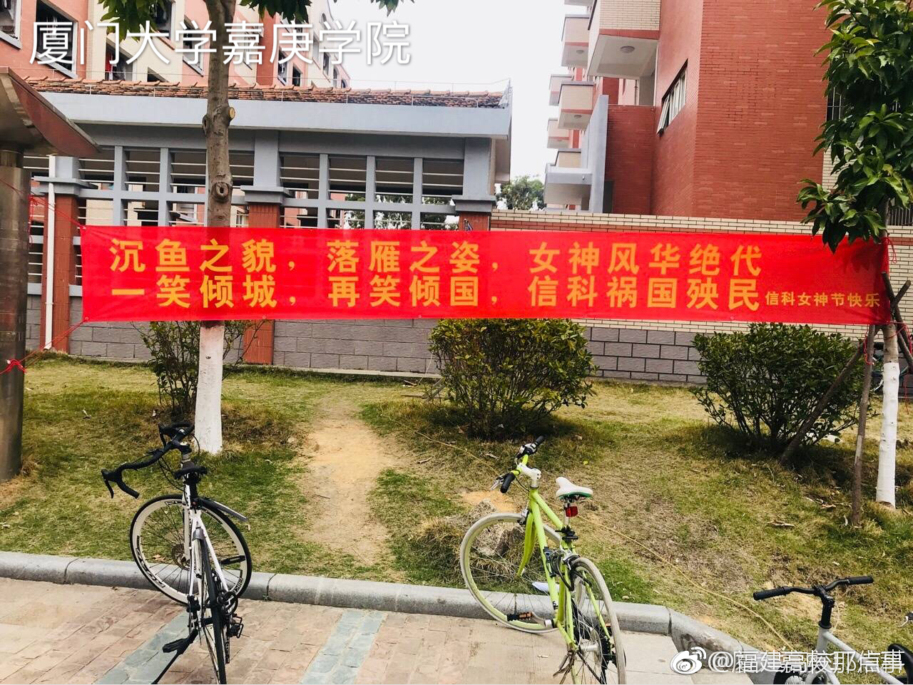 福建高校女生节横幅大比拼,看看谁更有创意![并不简单