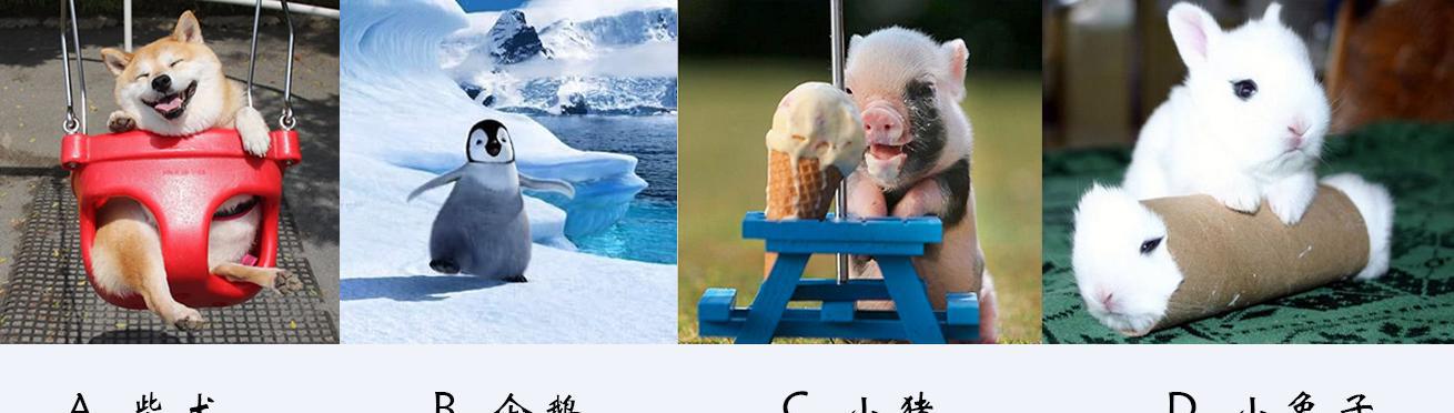 爱情测试！测测你最吸引什么样的异性呢？