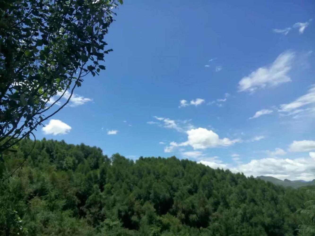 甘肃省2018年上半年中小学教师资格考试笔时