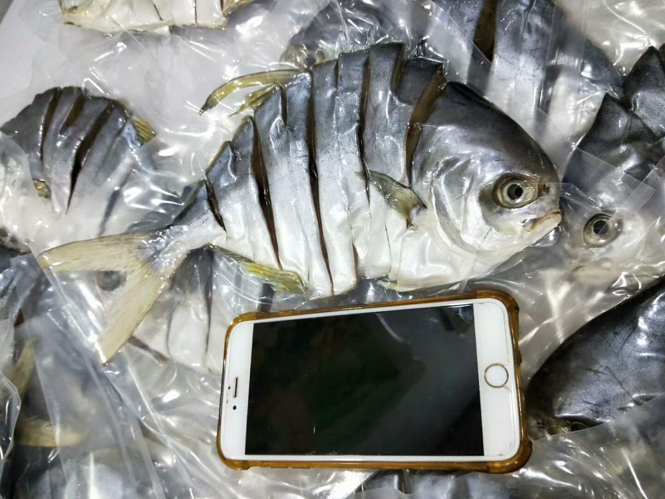 广东地区常见的金鲳鱼干价格便宜但是当地人