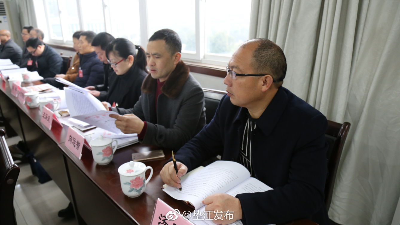 县人大代表分团审议县人民政府关于议案、建议