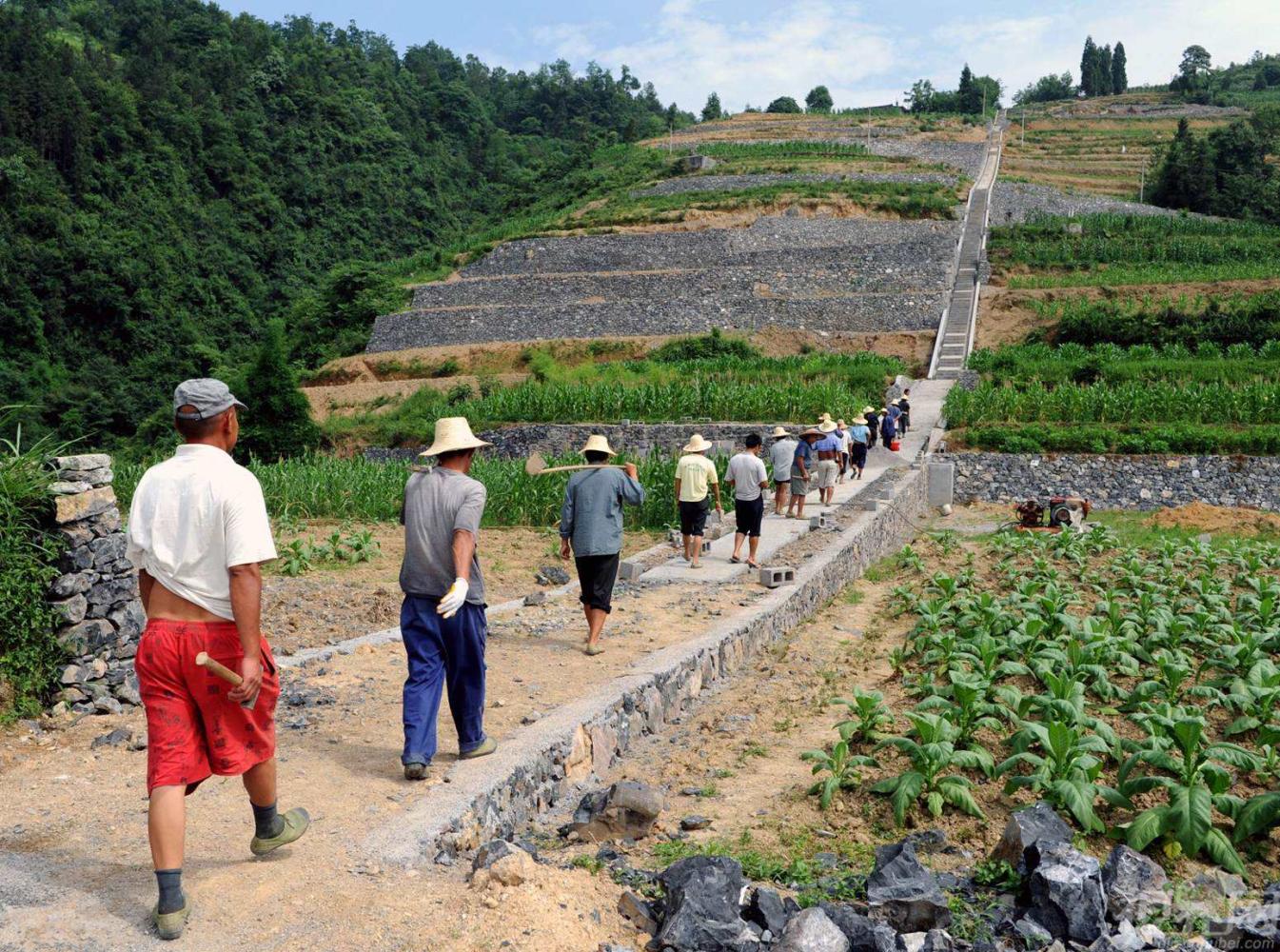 农村这些村干部将被取消竞选资格, 永远不能当