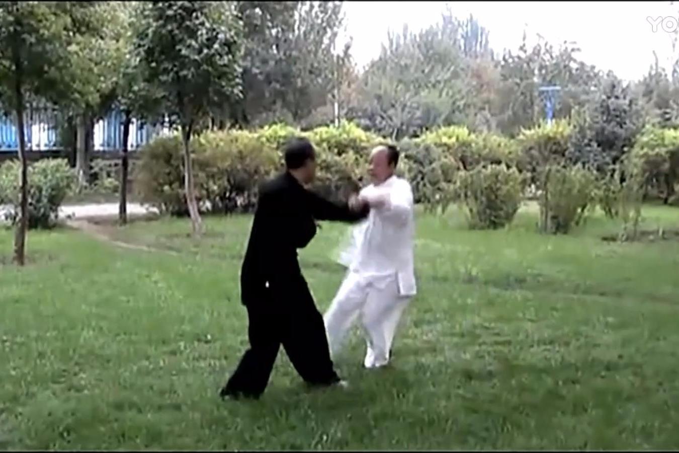 八极拳老师傅见招拆招 对手一旦进攻就能瞬间化解