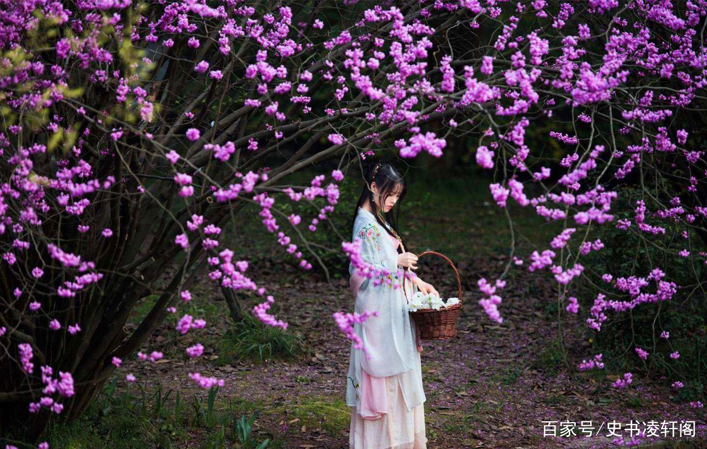 江碧鸟逾白,山青花欲燃