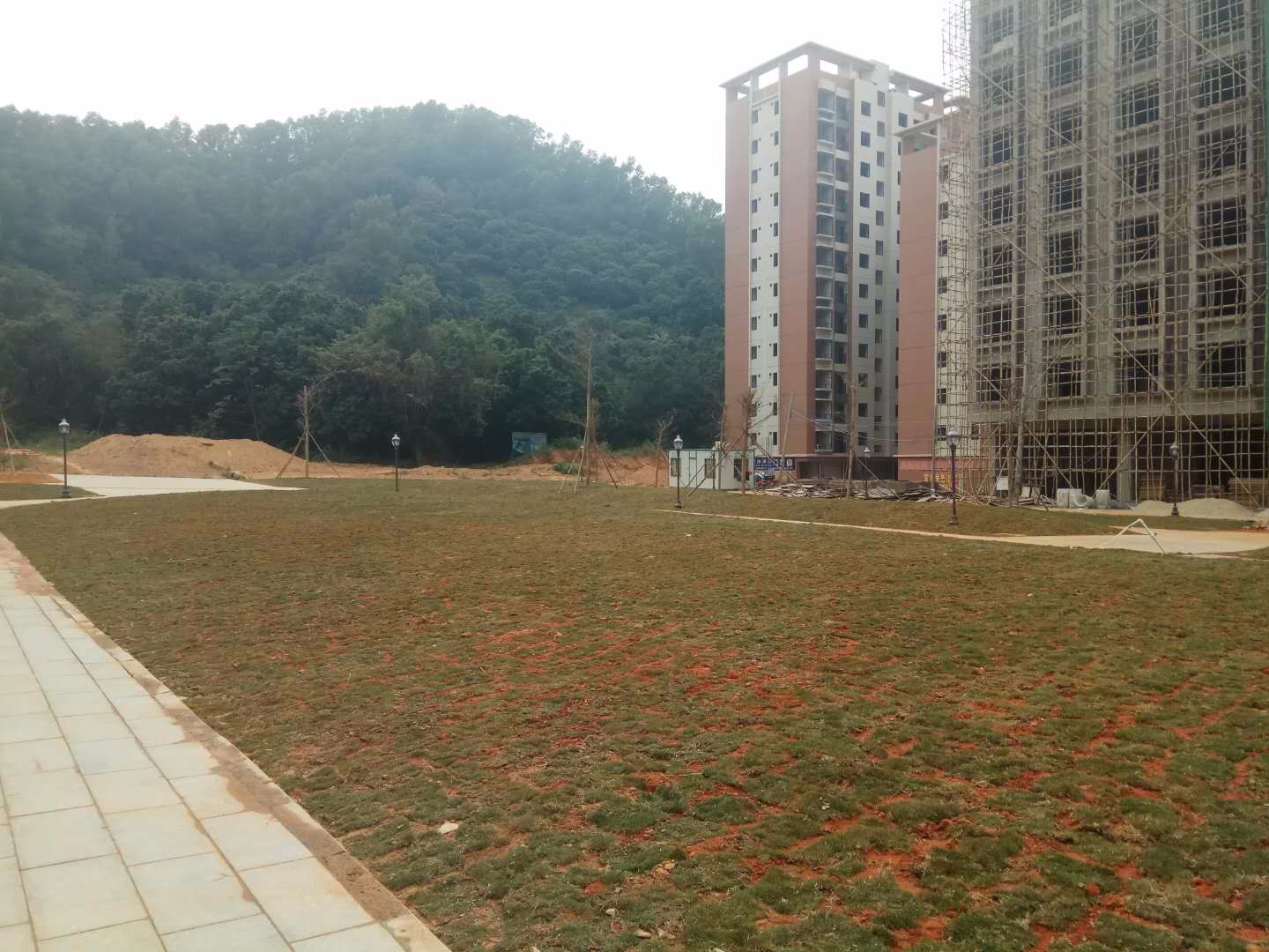 高州挂榜岭森林公园东入口广场真容首次曝光