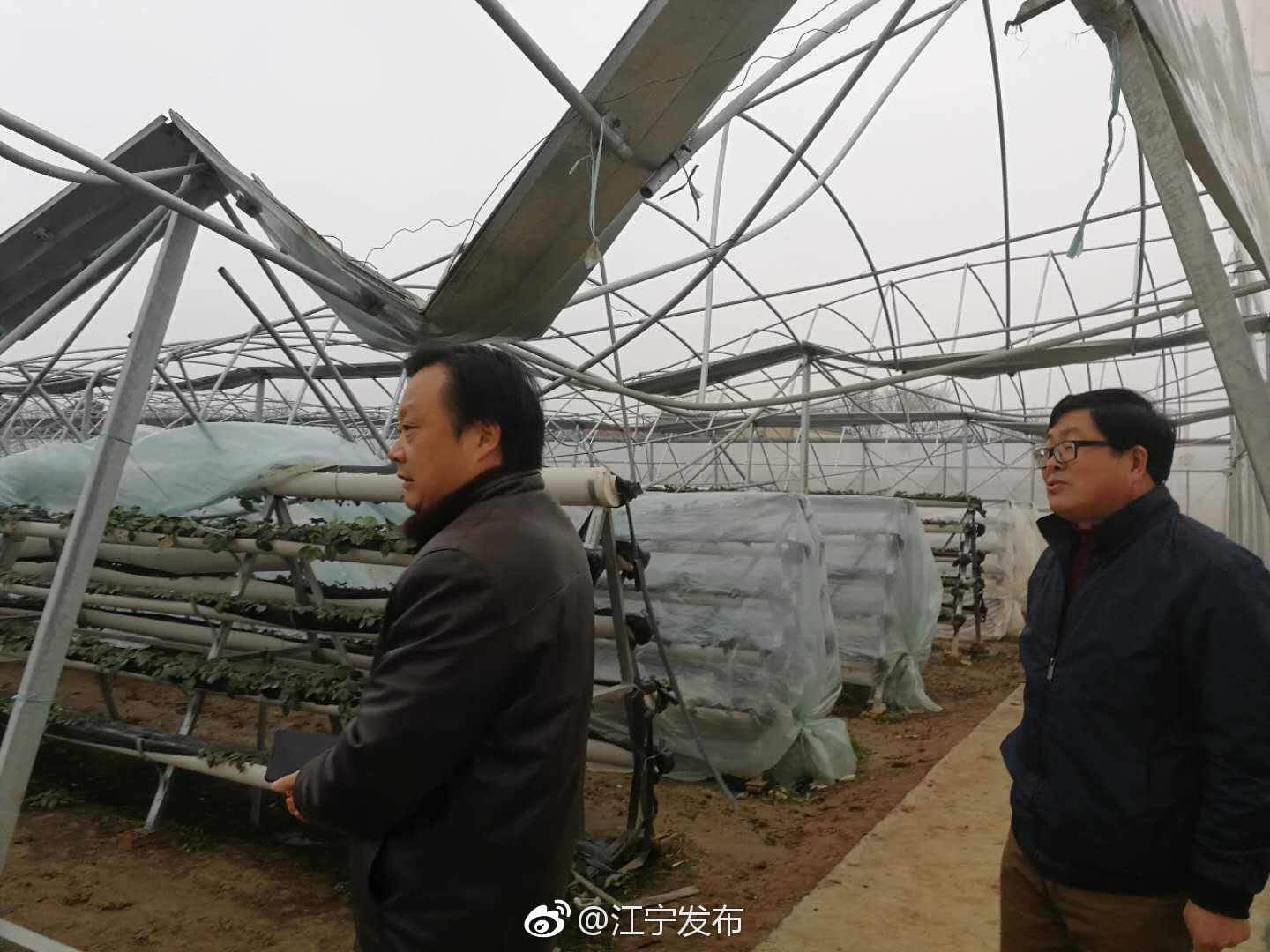 应对雪情 我区及时掌握中短期天气预报情况,提前布置《关于做好雨雪