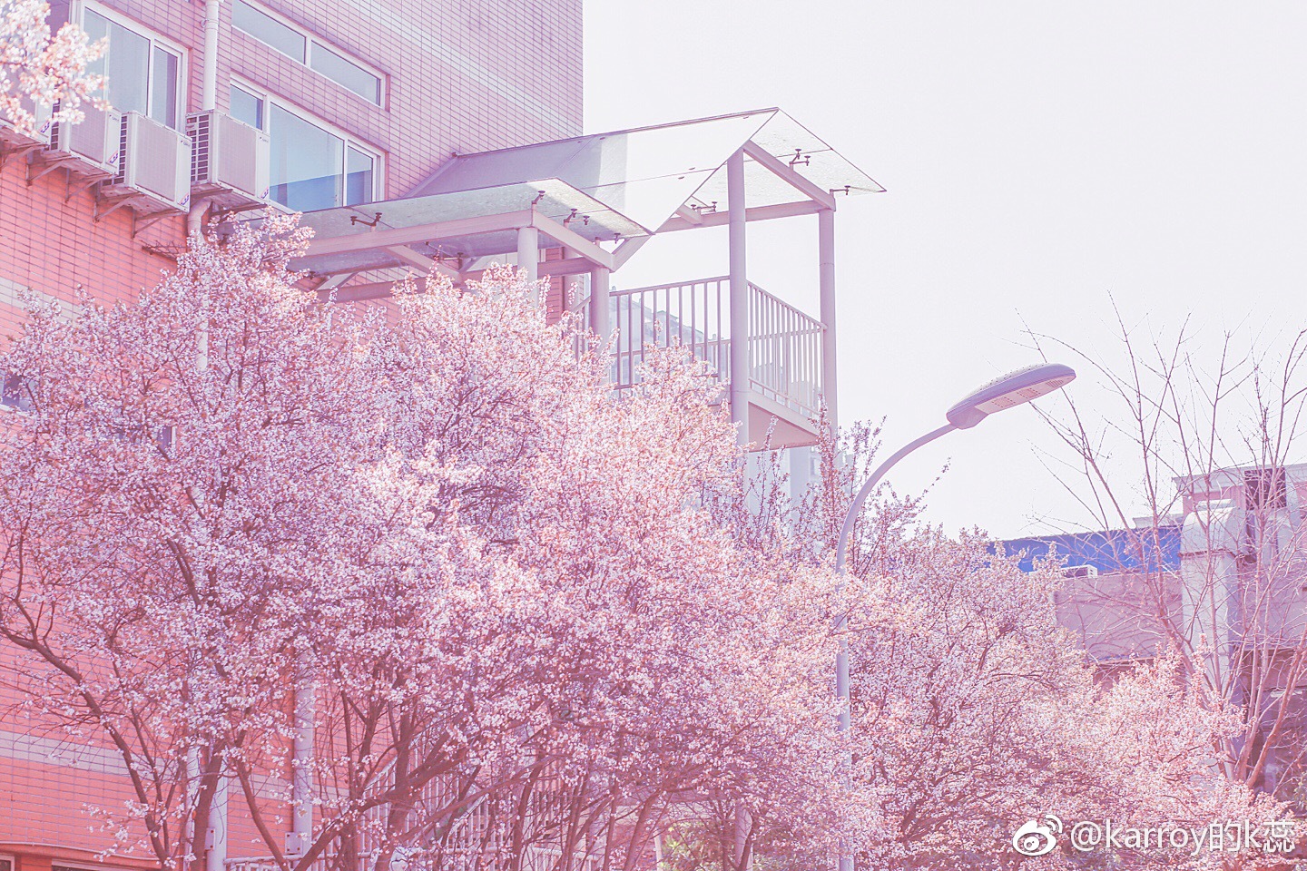 来吧 看看这组原片对比 LR ps 后期调色 卷关艾