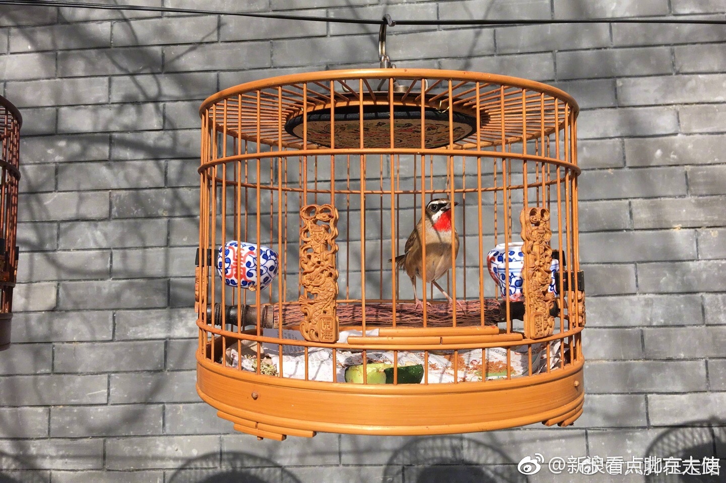 老北京喜欢养鸟,这还是以前八旗子弟流传下来