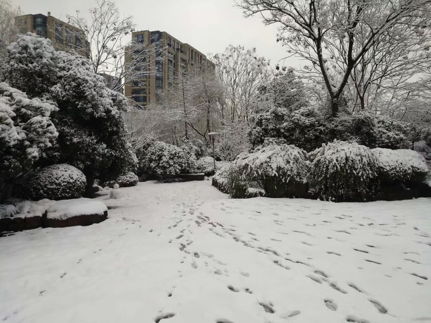 结婚要给所有亲戚磕头,礼金婆婆收,合着结婚是