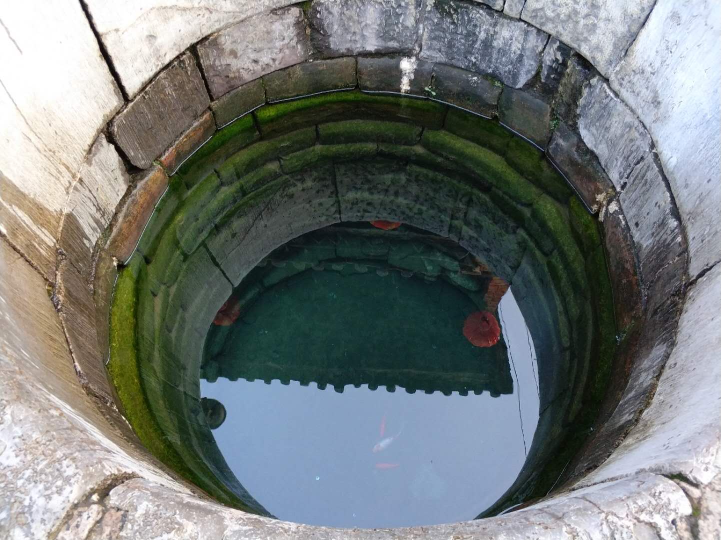 河南一村支书被曝用50万元打5口假井 图