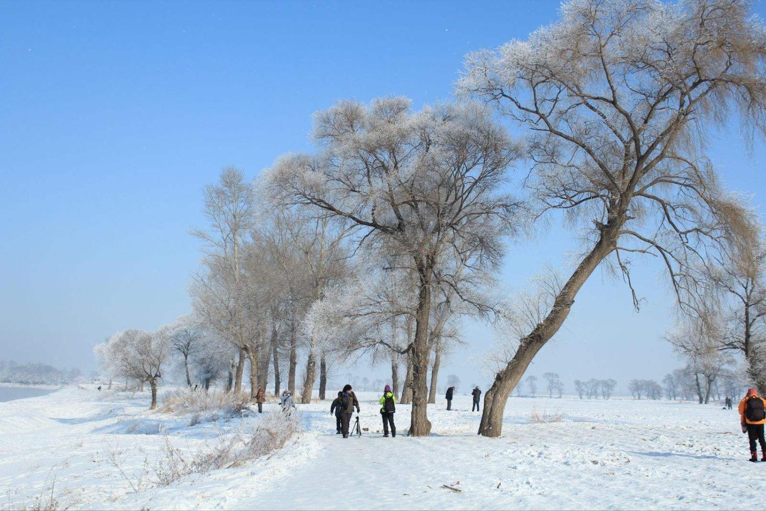 揭秘:南方人为什么比北方人个子矮