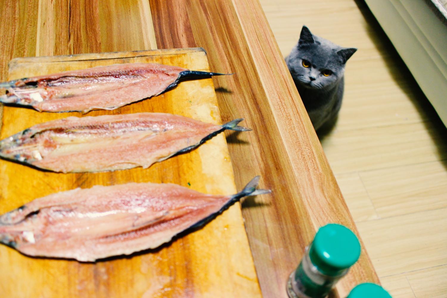 秋刀鱼的滋味 猫跟苏苏都想了解~丨秋刀鱼双拼 - 哔哩哔哩