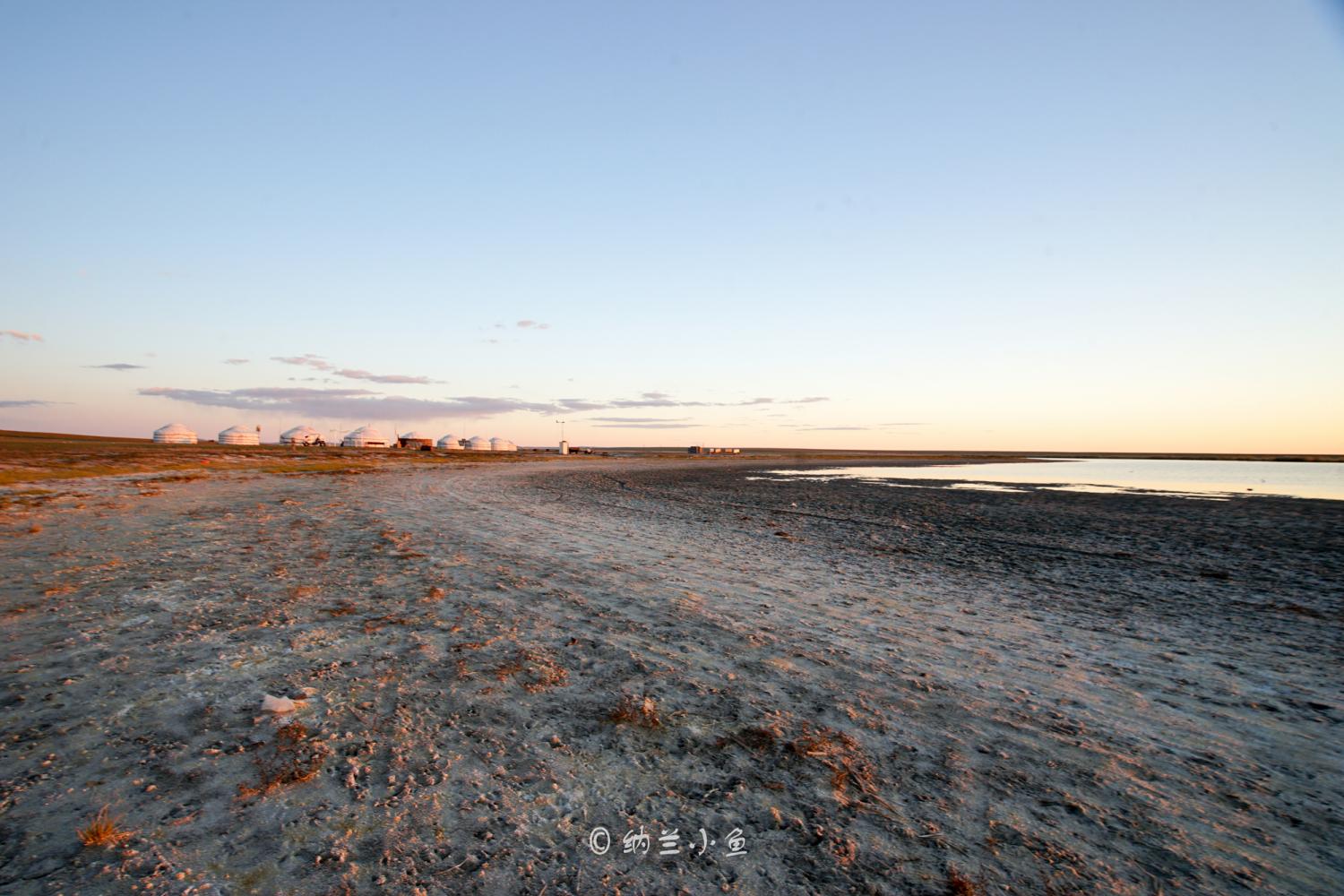 盐碱化图片_纵览新闻