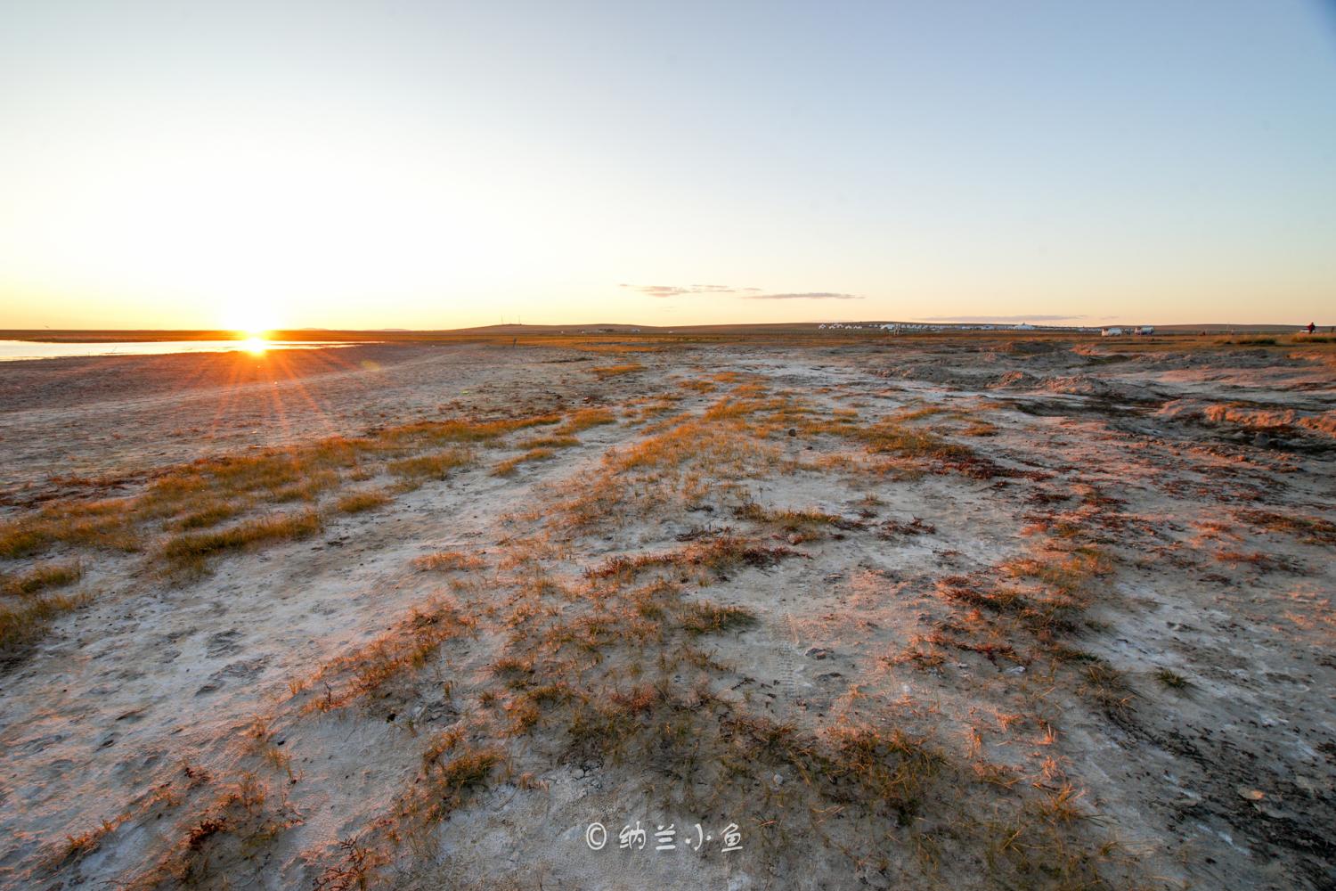 盐碱化图片_纵览新闻