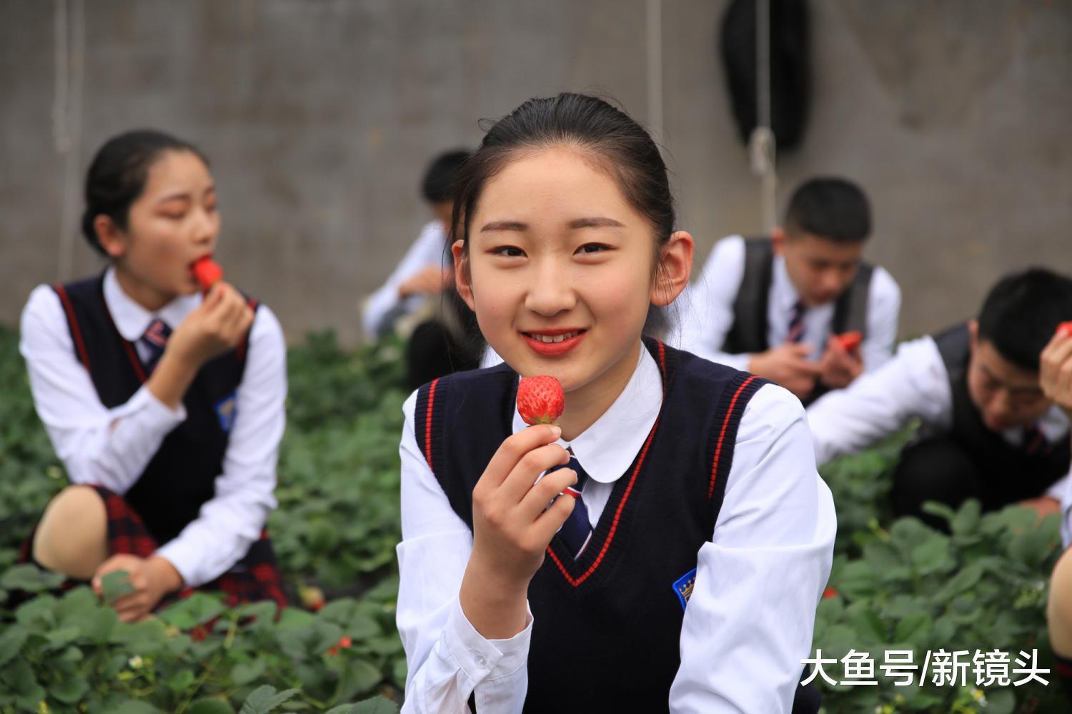 学校免费开放农场为学生过节, 网友大呼