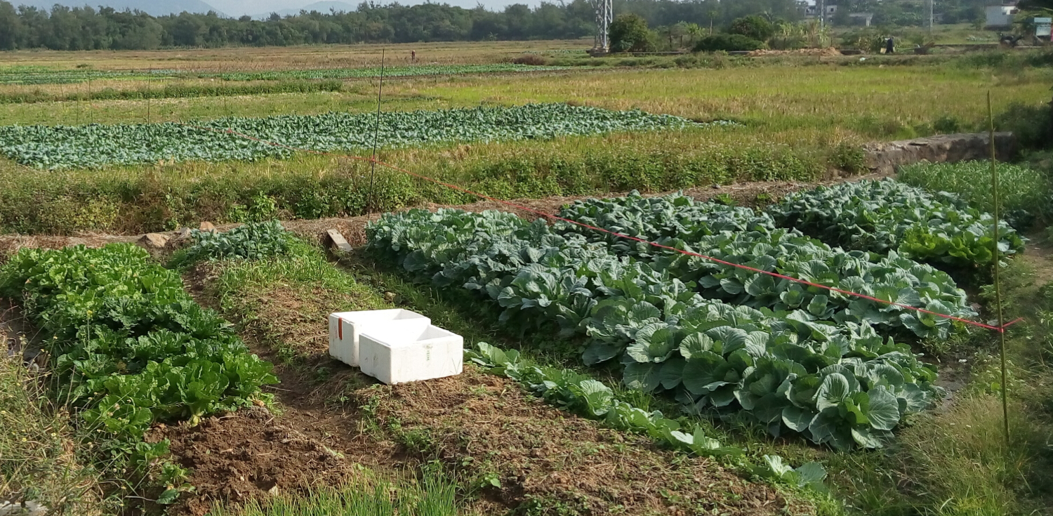 2018年,农村建设高标准农田有补贴,3类人可