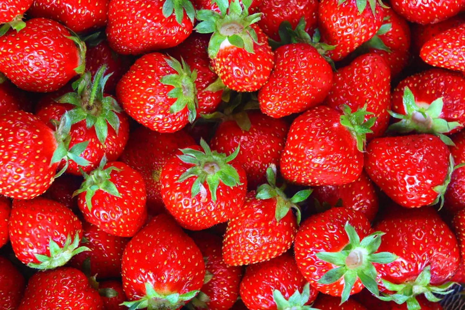 2017成都最新的冬草莓采摘指南,都藏在这篇微