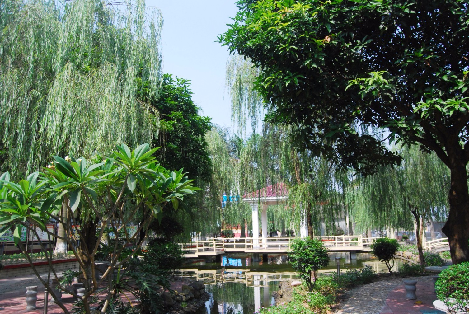 清远盛兴中英文学校简介