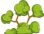 这才是3月最值得去的8个地方，就在湛江，已经把摄影师逼疯了