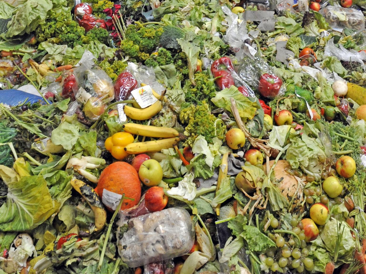 全球每年浪费一万亿美元食物:欧美占60%,翻垃圾游遍欧美!