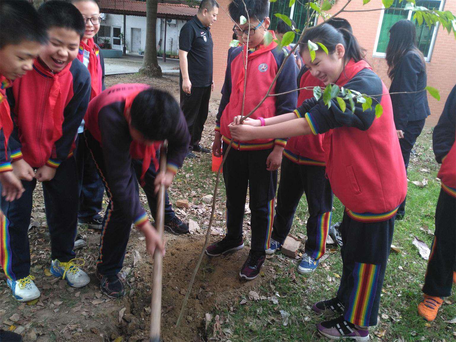 学校植树节活动方案!