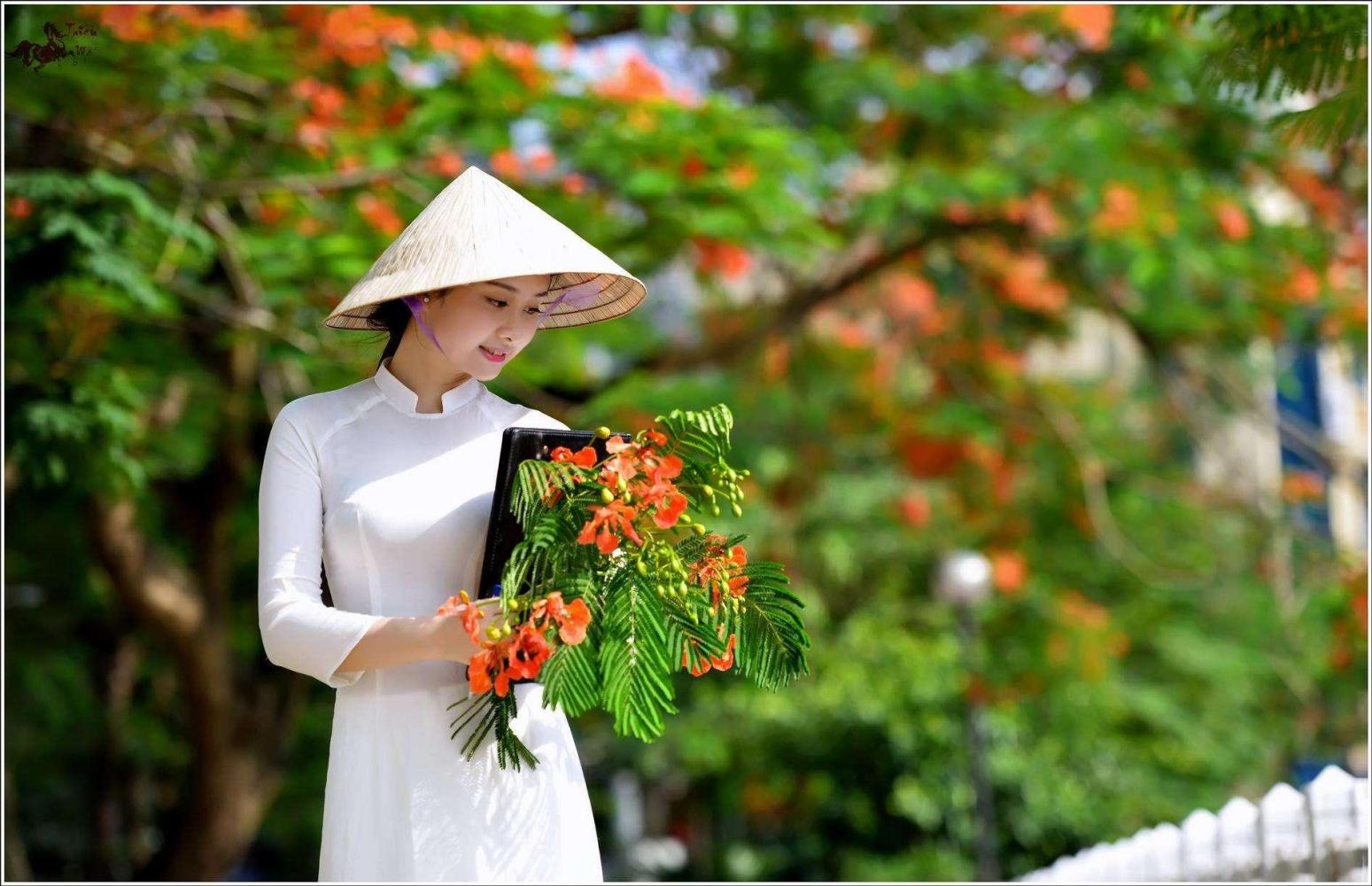 越南人感慨广东广西都是越南领土: