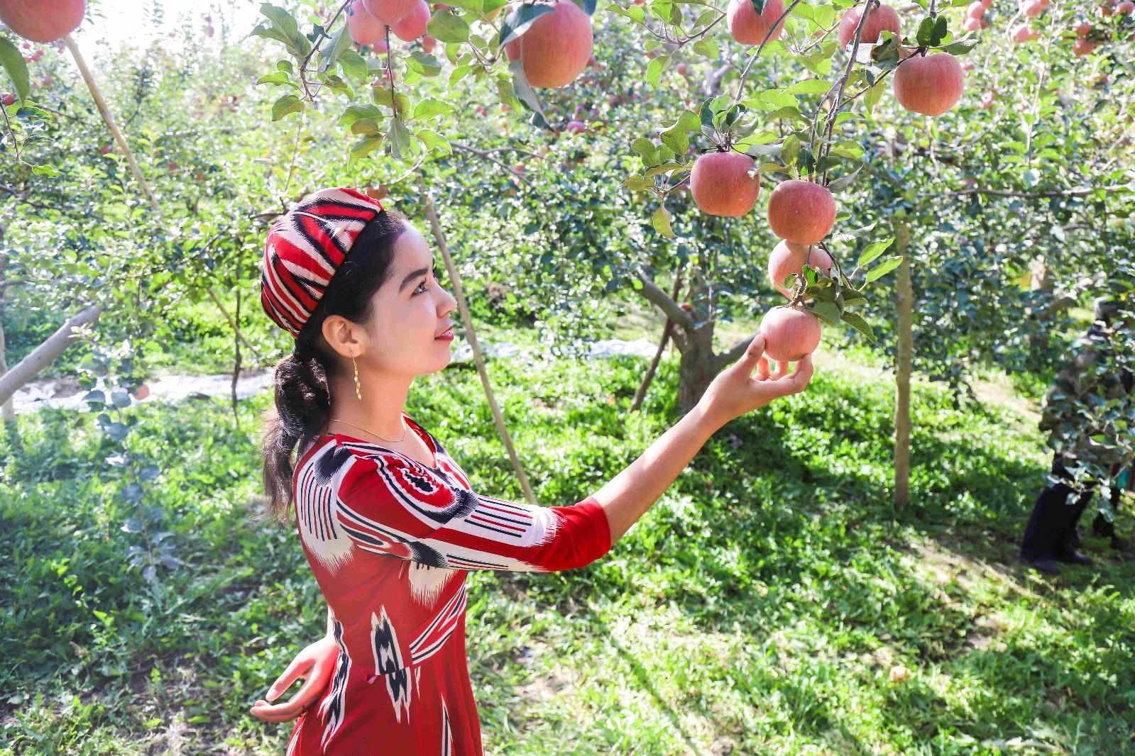 新疆美女公务员拍写真宣传家乡苹果引爆朋友圈,一下子卖了200吨